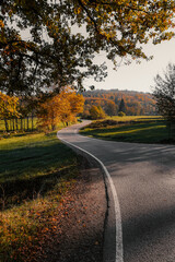 Naklejka premium Autumn Road