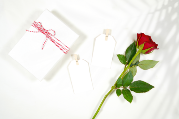 Gift tag, thank you card product mockup. Valentine's day wedding birthday love theme, styled with a red rose against a minimalist white background. Boho style fern shadow photography.