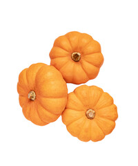 Isolated orange pumpkin. fall harvest, thanksgiving concept
