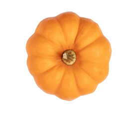 Isolated orange pumpkin. fall harvest, thanksgiving concept