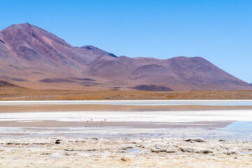 panoramic view of reserva natural eduardo abaroa parkland in bolivia