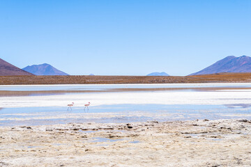 Fototapeta na wymiar panoramic view of reserva natural eduardo abaroa parkland in bolivia