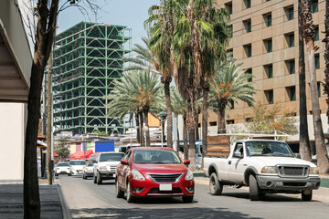 Beautiful view of city street with modern buildings and palm trees
