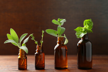 Fototapeta Bottles of essential oils with fresh herbs on wooden table obraz