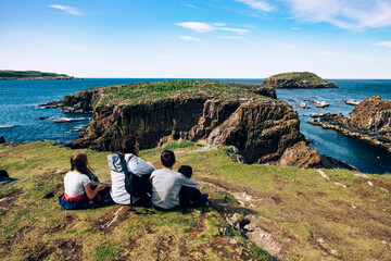 Puffin colony in Elliston, Newfoundland