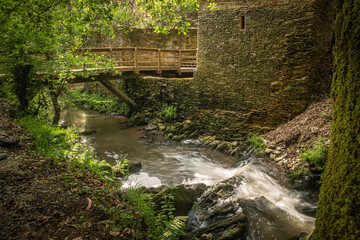 Wooden footbridge and vegetation in Stanislaus fountain park