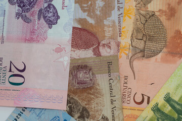 Bolivars or money from Venezuela. Background of different banknotes. Venezuelan economy.