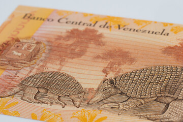 Close-up view of a Venezuelan five-bolivar banknote.