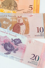 Bolivares, banknotes from Venezuela on white background. 5, 10 and 20 bolivars.