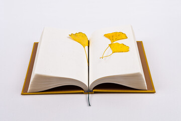 Books and ginkgo leaves isolated from the background. You can create your own background freely.