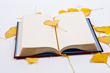 Books and ginkgo leaves isolated from the background. You can create your own background freely.