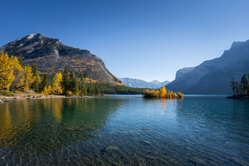 fall colors on an island in the middle of lake minnewanka
