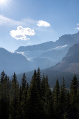 mountain side glacier in banff national park over the forest
