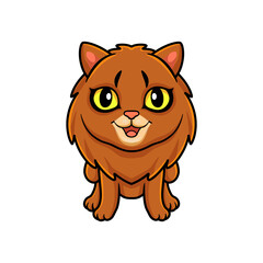 Cute somali cat cartoon posing