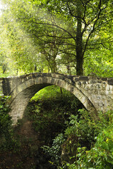 Fototapeta na wymiar Beautiful old stone bridge and green trees in park