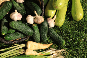 Scattered fresh ripe vegetables and wicker basket on green grass, top view