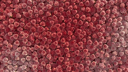 Beautiful, Pink Flower Blooms arranged in the shape of a wall. Romantic, Colorful, Roses composed to create a Vibrant floral background. 3D Render