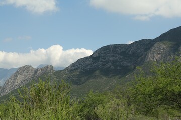 Picturesque view of beautiful mountains and plants under cloudy sky