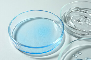 Petri dishes with color liquids on white background, closeup
