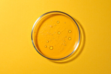 Petri dish with liquid on orange background, top view