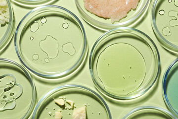 Flat lay composition with Petri dishes on light green background