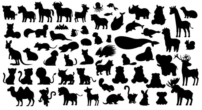 Animals black silhouettes. African savannah and fauna. Elegance and aesthetics, beauty. Rhinoceros, lion, bear, camel and monkey. Cartoon flat vector illustrations isolated on white background