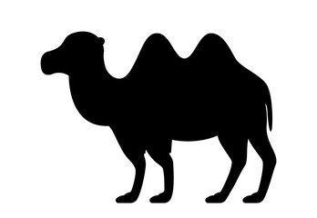 Dark silhouette of camel. Exotic animal, symbol of hot desert. Poster or banner for website. Aesthetics, beauty and elegance, shadow and minimalist patterns. Cartoon flat vector illustration