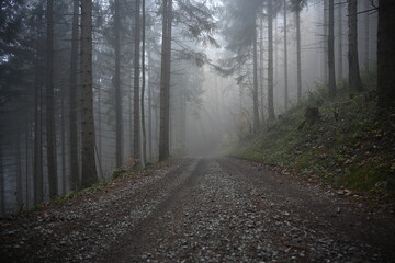 road in the fog, autumn in mountain