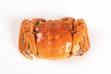 cooked Chinese mitten crab or hairy crabs isolated on white background.