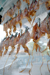Dried squid for hanging roast for sale. Thai style food.