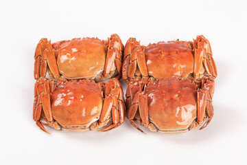 cooked Chinese mitten crab or hairy crabs isolated on white background.