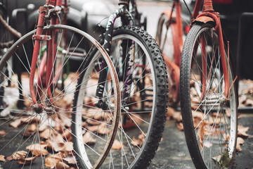 Fototapeta na wymiar abandoned old rusty bicycles on city streets.