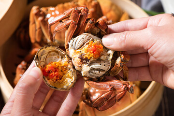 hand hold a deliclous hairy crab with crab roe close up. © zhikun sun