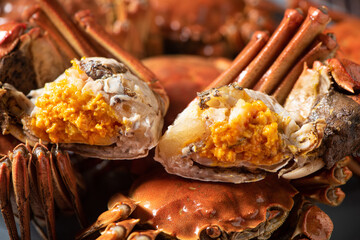 Fresh and delicious hairy crab or chinese mitten crab with crab roe background