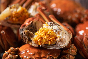 Fresh and delicious hairy crab or chinese mitten crab with crab roe background