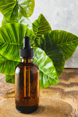 Vertical photo of essential oil dropper bottle with green leaves background