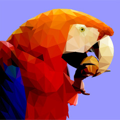 vector geometric pop art colored illustration of a parrot