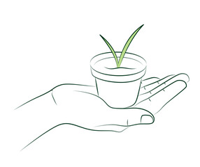 Female hand holds flower pot with small houseplant or seedlings. Care for indoor flowers. Creation of coziness in house. Women's hobby of growing indoor plants. Mini business concept. Linear sketch