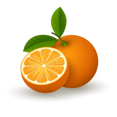 Realistic orange fruit