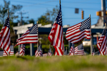 American Flags Wave In The Wind During The Veterans Memorial Celebration Weekend