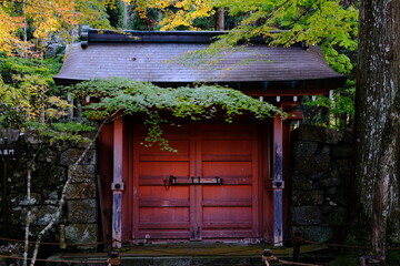 秋，紅葉，京都，日本，日本庭園，風景, ，旅行，...
