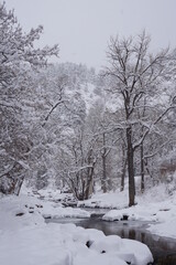 winter in boulder creek