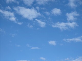 Fototapeta premium 東京のそら(22.11.14)