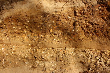 Morainic deposits of stones and pebbles in Quaternary sand