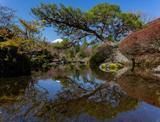 Nature landscape in Oshino Hakkai
