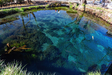Sunny view of beautiful landscape around Oshino Hakkai area