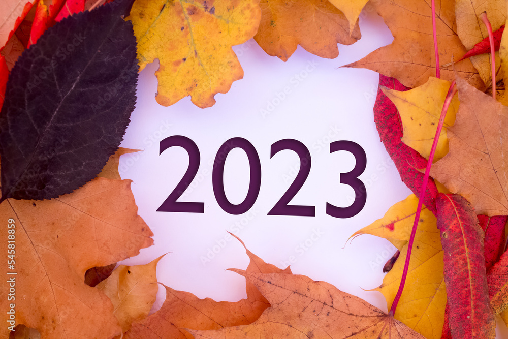 Poster autumn leaves, objects with the number 2023. natural patterns, color design.