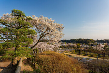 Fototapeta premium Beautiful landscape along the Kairakuen