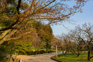 Naklejka premium Beautiful landscape along the Kairakuen