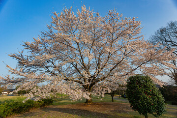 Beautiful landscape along the Kairakuen